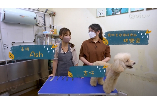 20221019-110923_photo 1_l