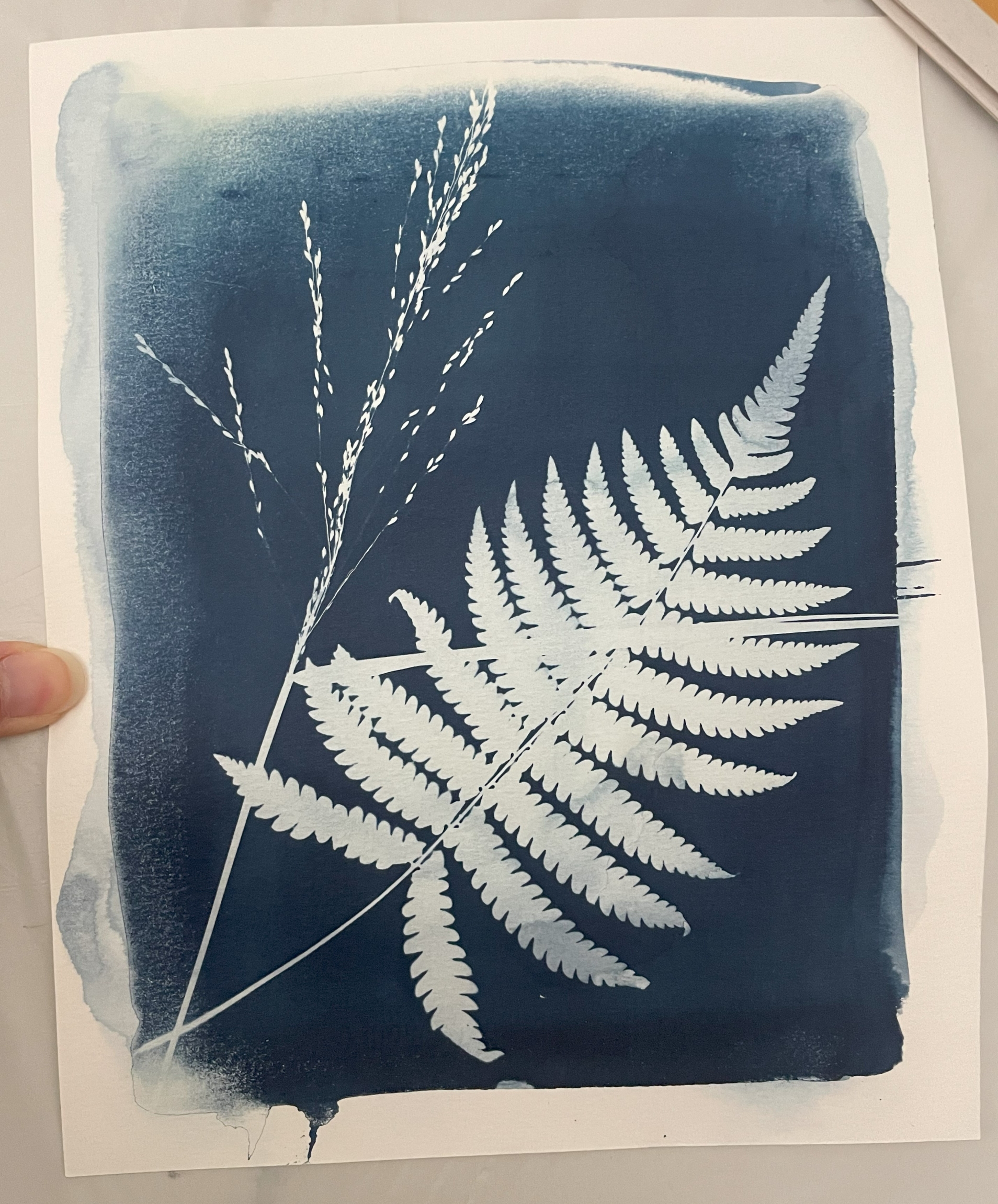 Self Photos / Files - IMG_4600