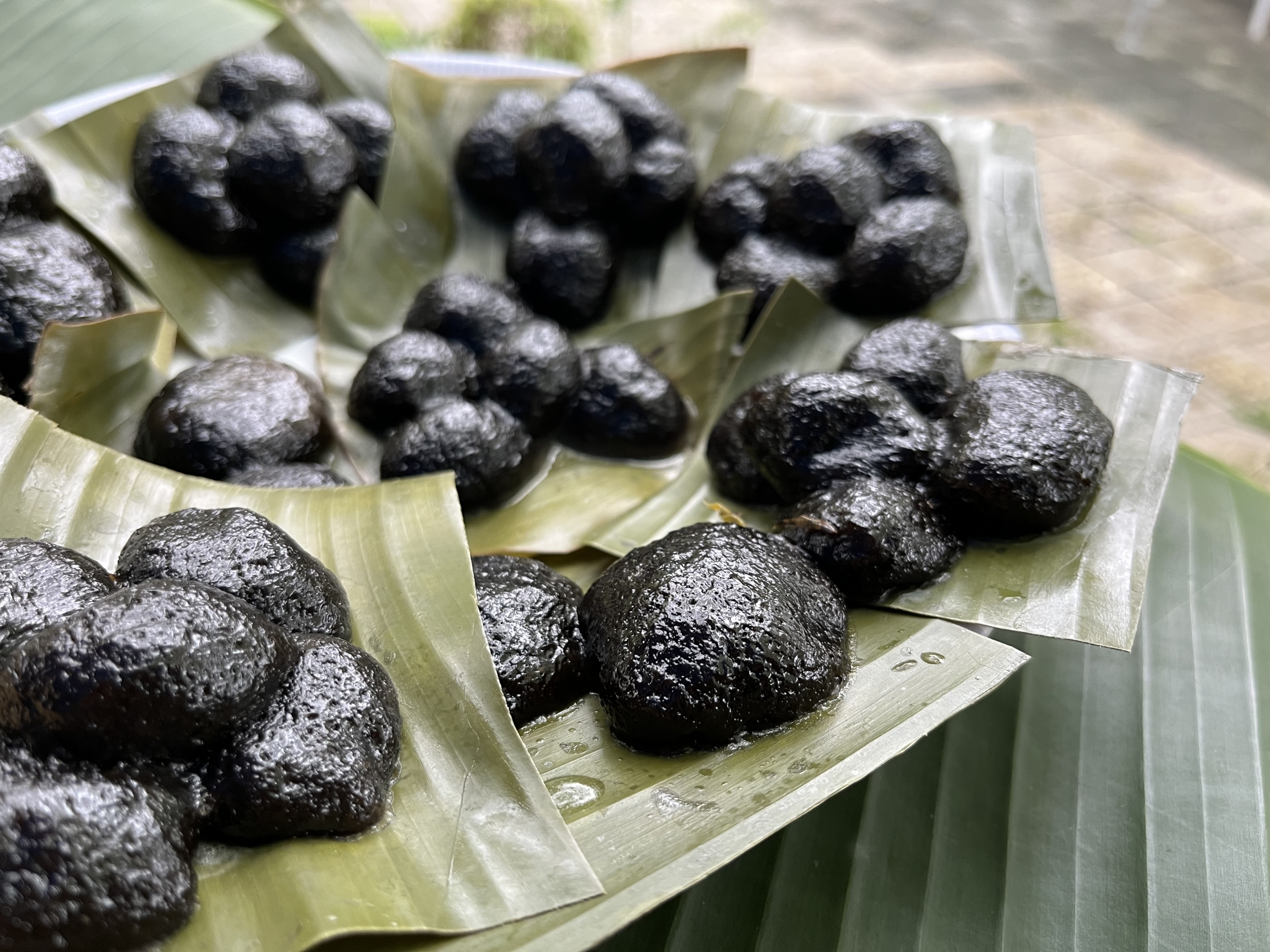 Self Photos / Files - 圖5